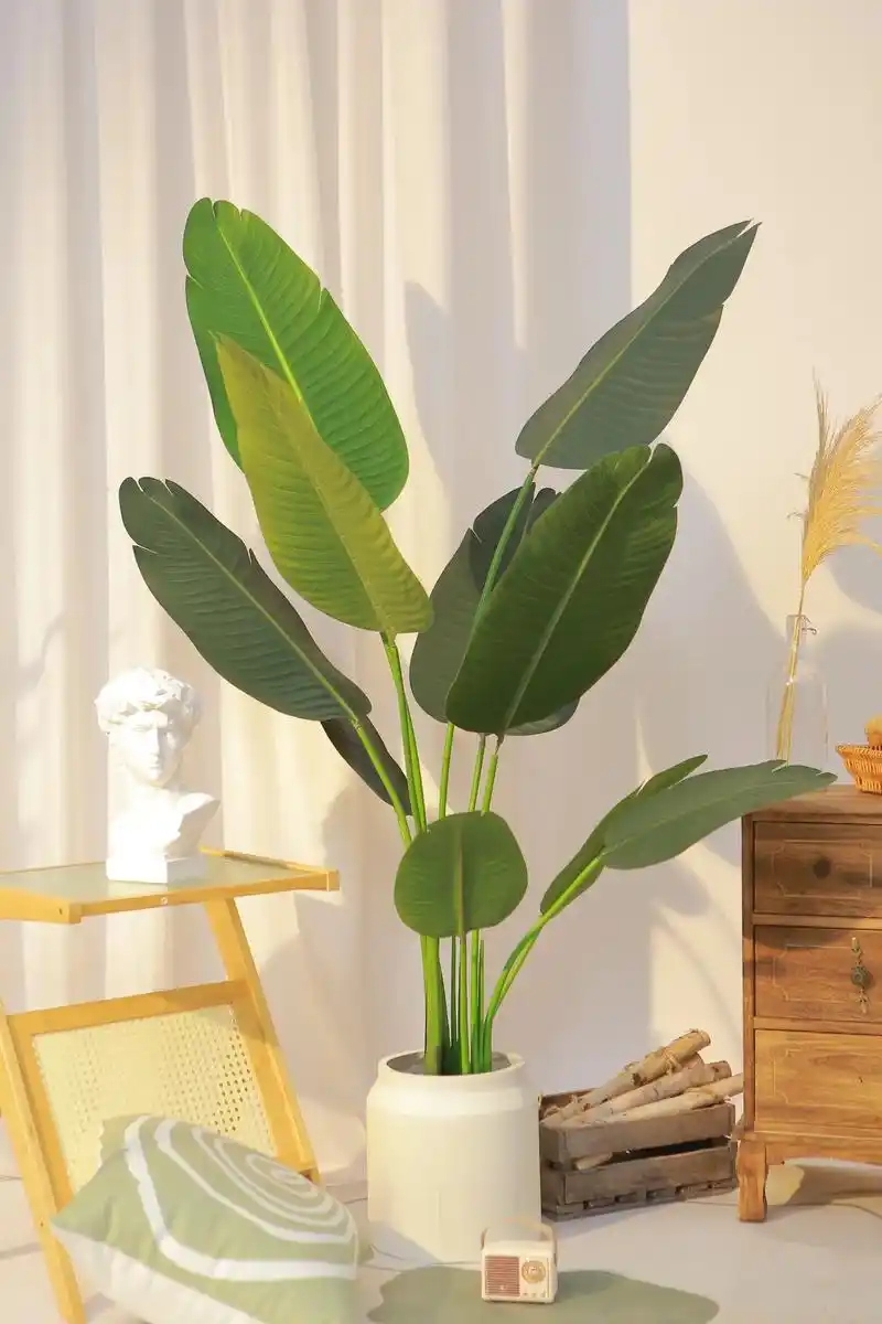 仿真旅人蕉天堂鸟实物拍摄,现在购买可以送同款水泥盆#客厅植物 - 抖