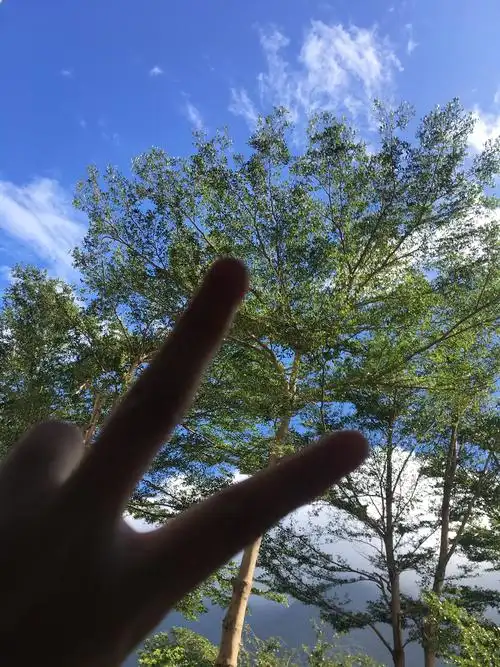 蓝天白云 剪刀手