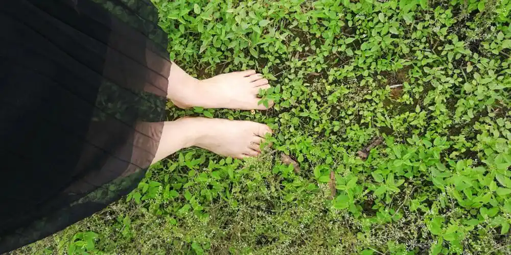 端午回家,看着青青绿草,赶紧把鞋子甩掉,光着脚丫子在草地上走来走去