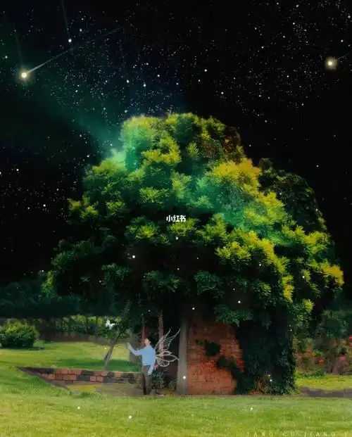 夏夜的萤火马嘉祺