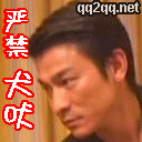 刘德华qq表情