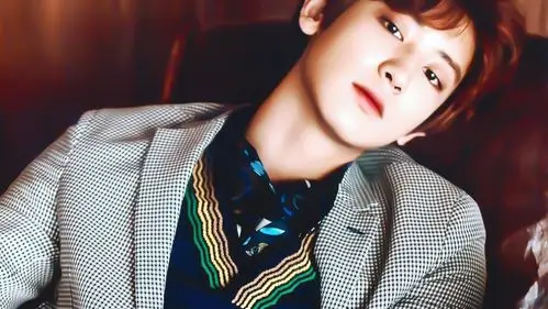 朴灿烈 橙光素材> 使用图二转标注明:顾酒黎