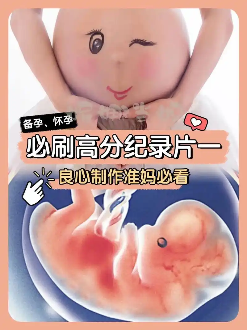备孕,怀孕必刷高分纪录片一