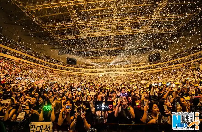 韩国人气天团bigbang南京开唱 万名粉丝齐互动 - 娱乐 - 海外网