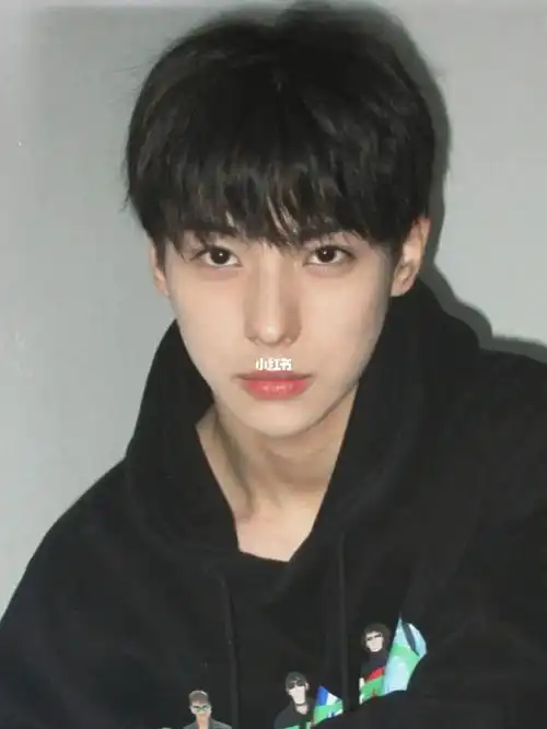 适合小奶狗的微分碎盖