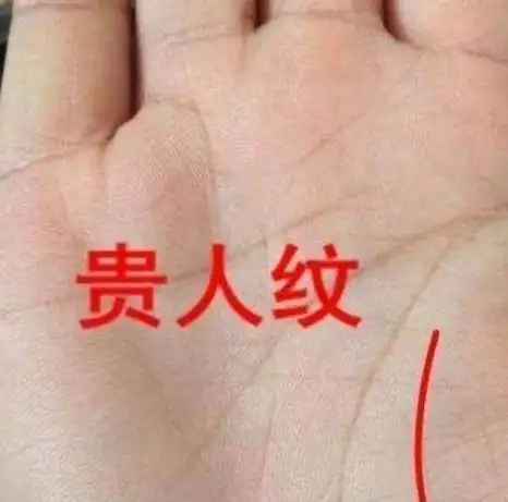 三种富婆命的手纹特征,看看你有没有大富大贵的好命