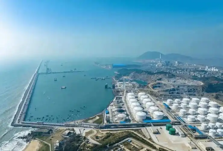 茂名滨海新区奏响高质量发展海洋之声