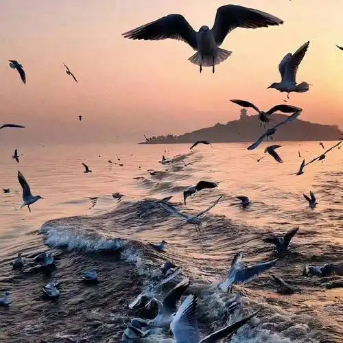 风景头像|一看就很正式的微信头像