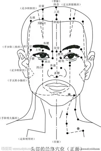先让小编给大家看一下面部的经络图:面部循行经络:外部容貌是人体这个