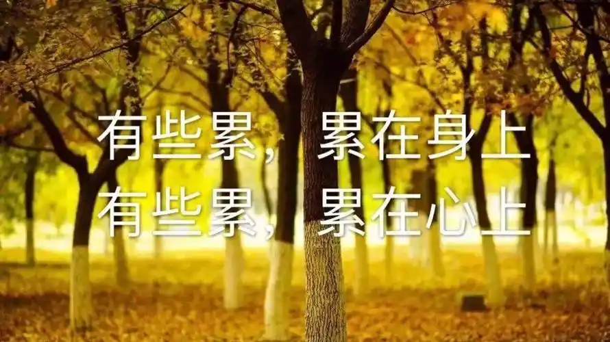 心累心烦的心情说说送给很累很累的你