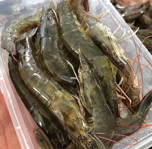 发现某宝和某音卖的这种大虾159元四斤,发现跟我家(我家海边批发)的