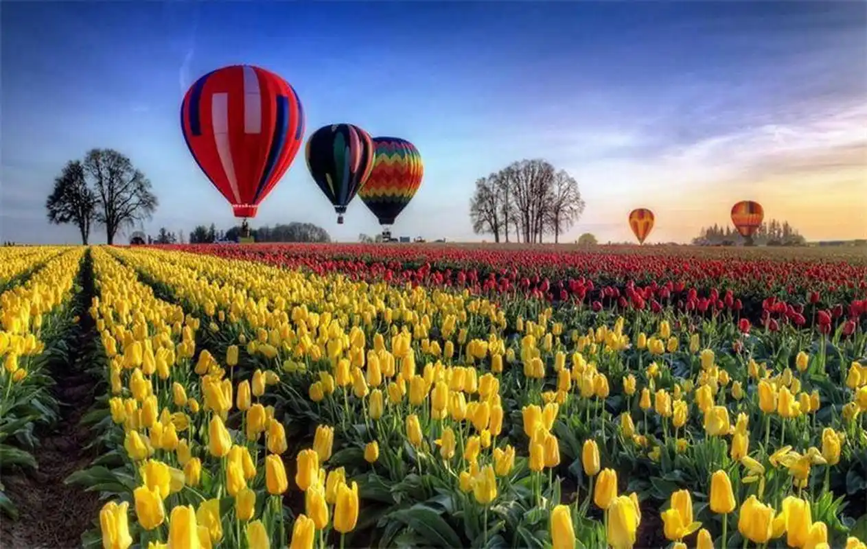 微头条生活养成计划一连三天,好脾气的校长对着电话吼起来了. 学校有5
