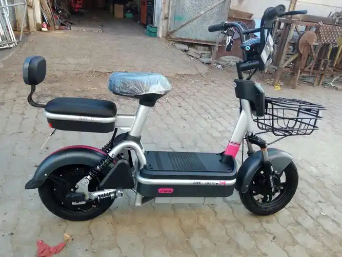 小羚羊电动车——小骑士