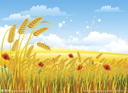卡通麦田图片
