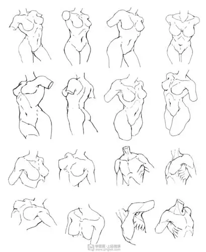 日系厚涂的人体比例与骨骼解析