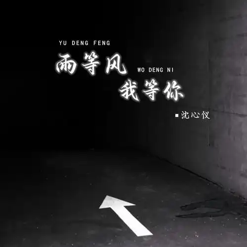 沈心仪_高音质在线试听_雨等风 我等你歌词