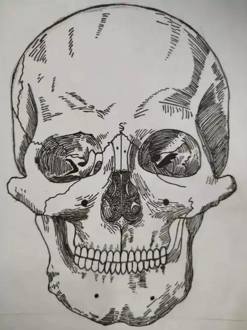 我想,那个女生那么用心地画解剖图,画得那么好的原因,也是缘于这个吧.