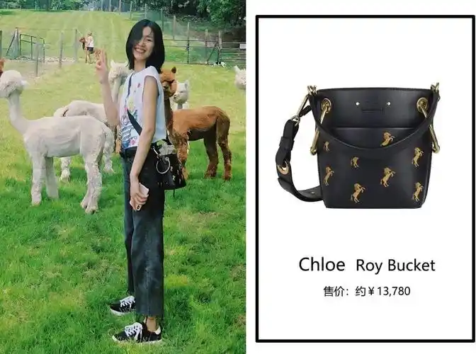 盘点刘雯2018年背过的包包都在这儿了