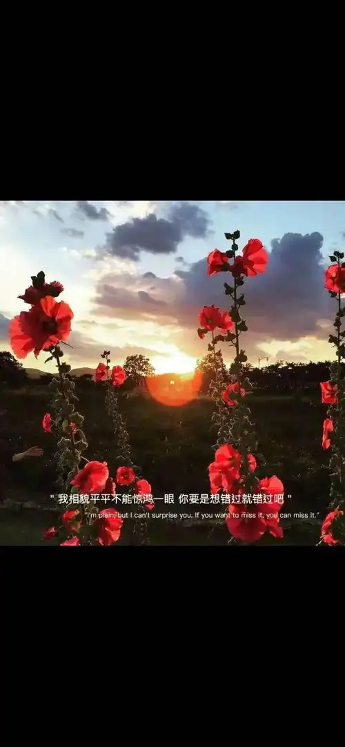 iphone壁纸高清 | 抖音超火文字壁纸原图