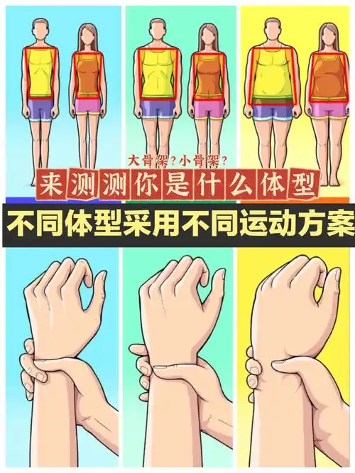 测测你是哪一型大骨架小骨架