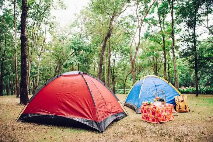 在日出的树下露营帐篷和野餐配件