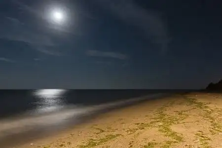 海边的夜晚兜风图片