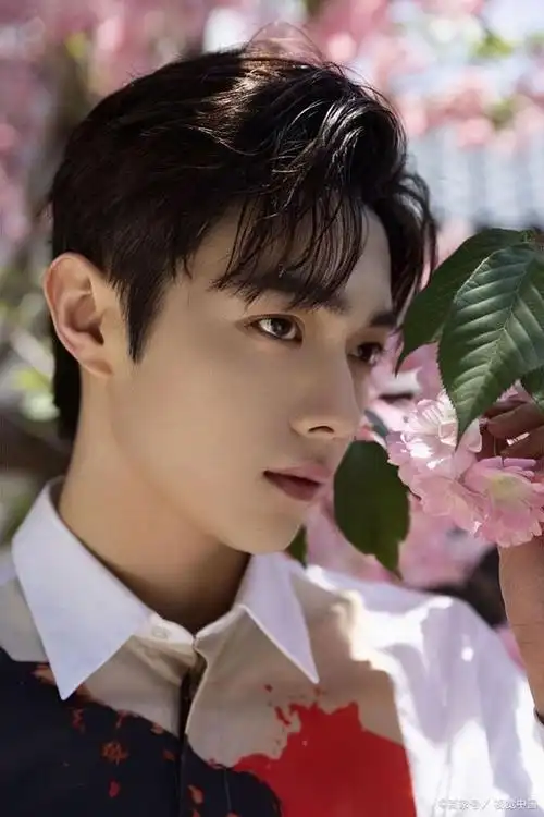 杨紫和许凯是两位当红的流量明星,他们都有着高颜值和高人气,也都有着