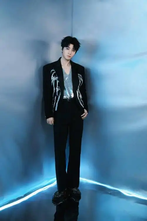 王俊凯银色v领内搭##王俊凯蔡依林同台