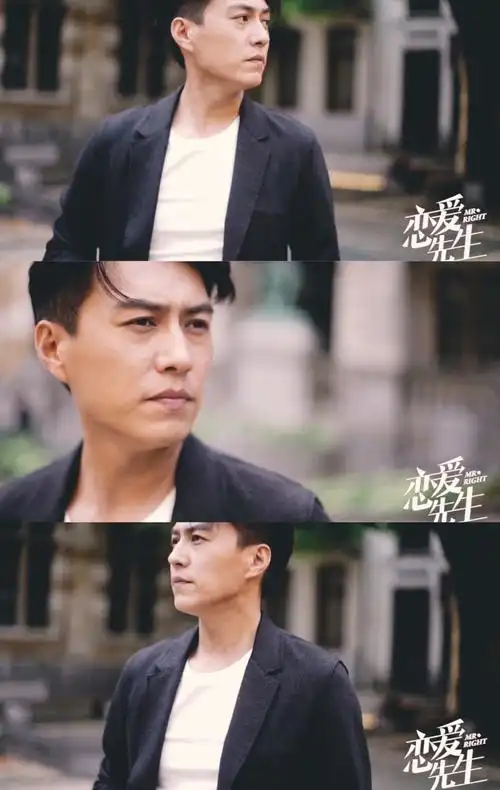 电视剧恋爱先生靳东程皓