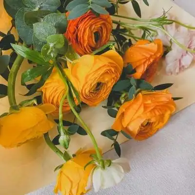 宋知意ins橙色系风景背景图今天没有和喜欢的人说话