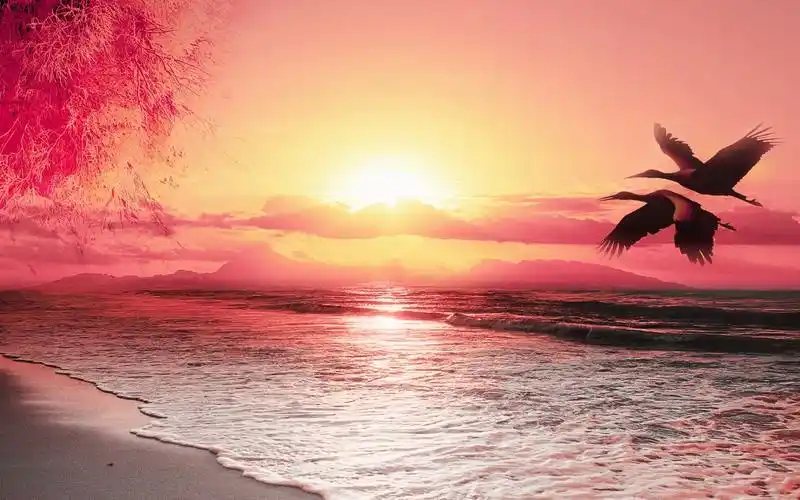 2020年抖音快手最新的古风唯美爱情句子合集