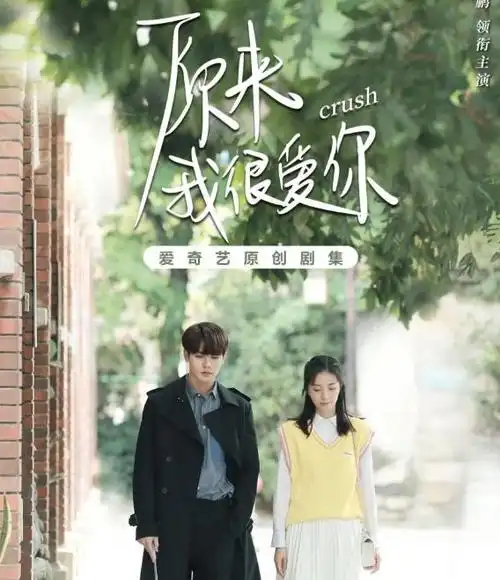 林彦俊,万鹏主演的电视剧《原来我很爱你》里,编剧是谁?