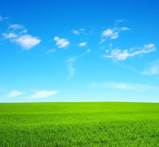 碧绿的草地和明亮的蓝天