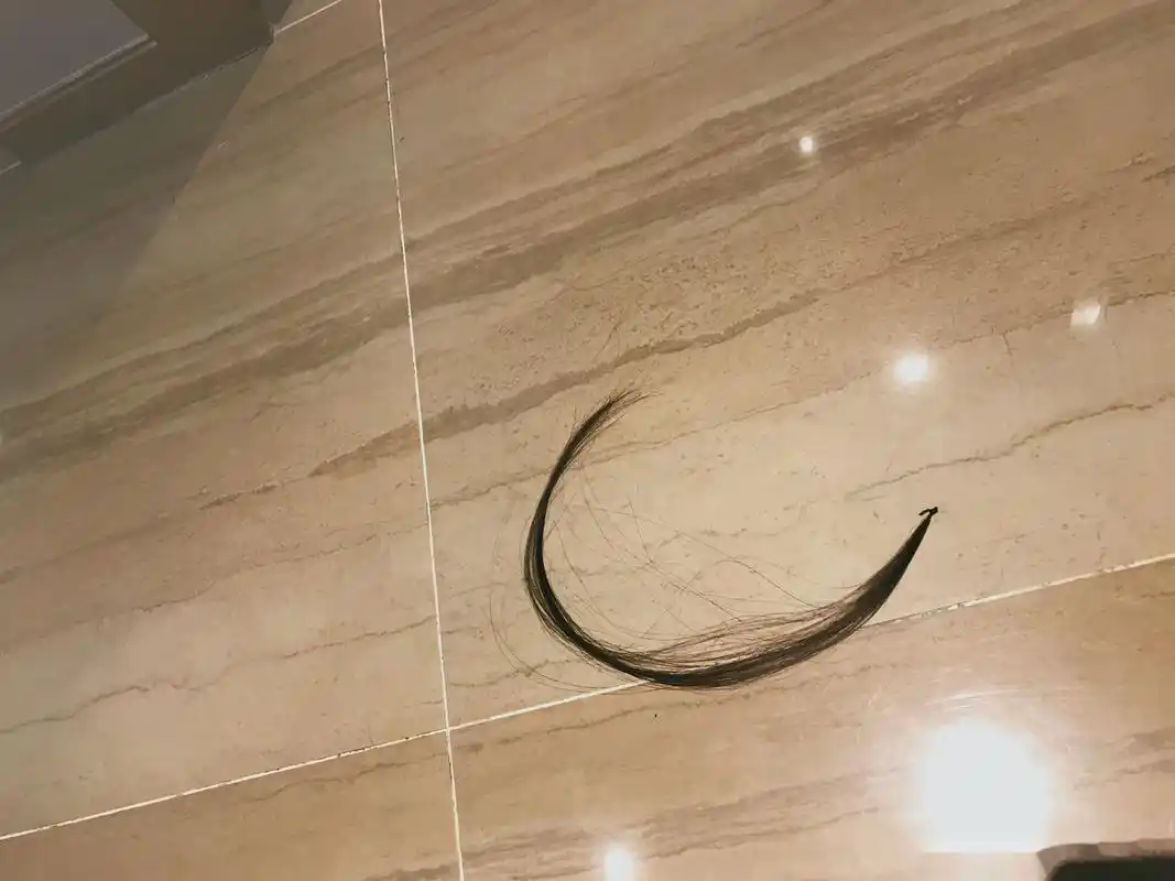 梳完头,发现地上掉的头发,吓得我一掬灵