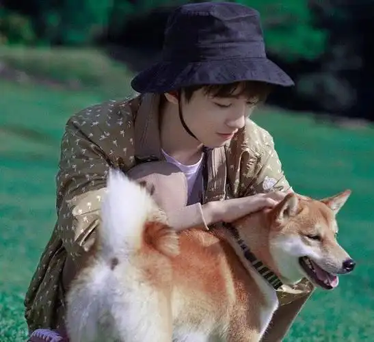 犬系少年王俊凯抱着宠物狗拍写真网友被这眼神温柔哭了