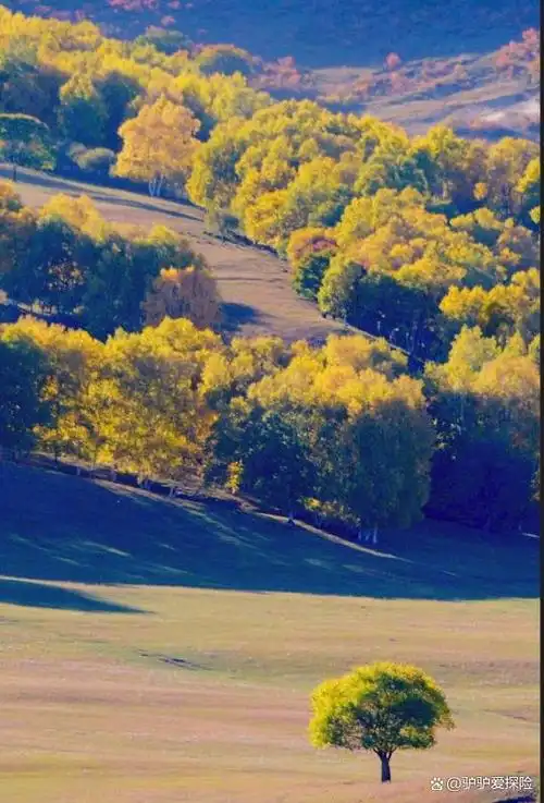 1,那曲高寒草原(西藏)