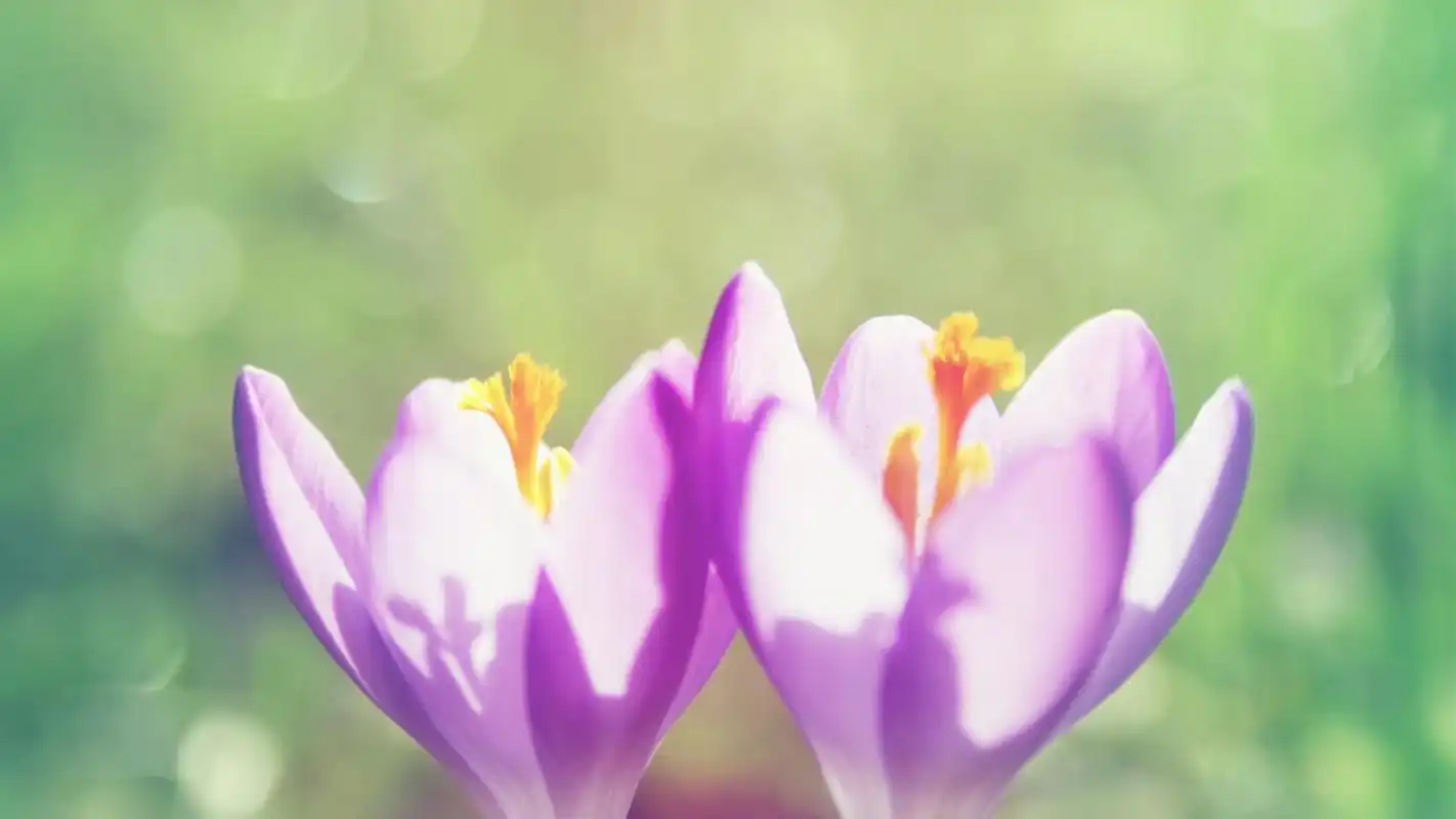 清新桌面壁纸之唯美好看的风景