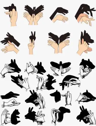 玩法:只要有灯光,就可以通过手势的变化,做出蜗牛,大象,兔子等的影