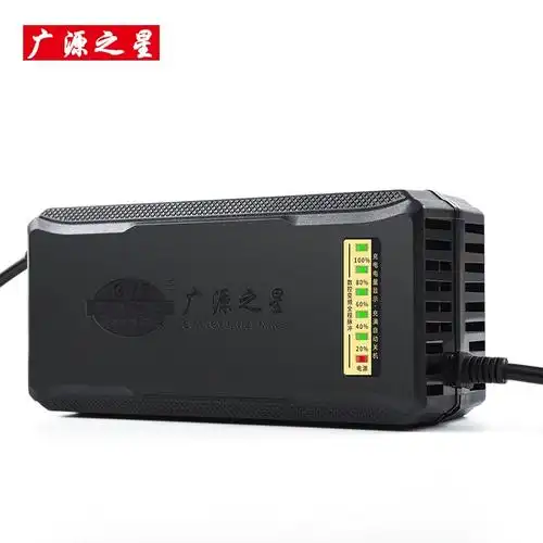 广源之星智能电动车电瓶铅酸电池充电器60v20ah自动断电防反接