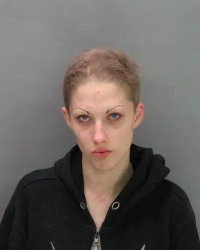 面部照片照片的罪犯9张