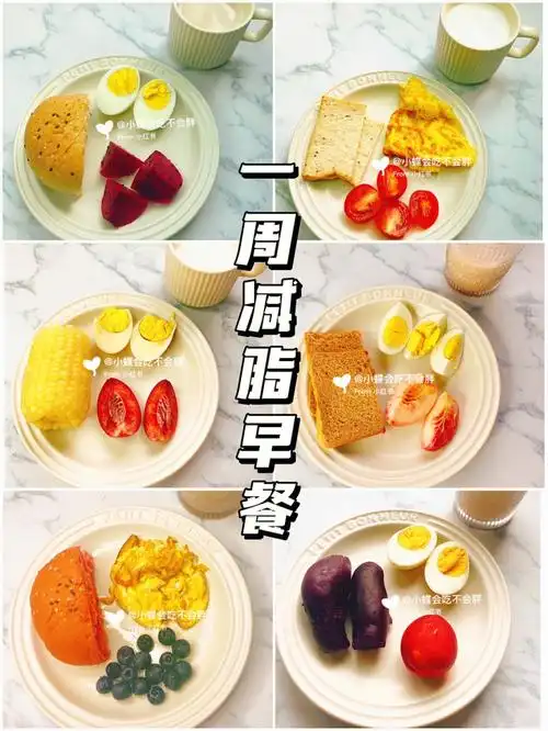 73一周减脂早餐食谱合集快捷营养又健康75