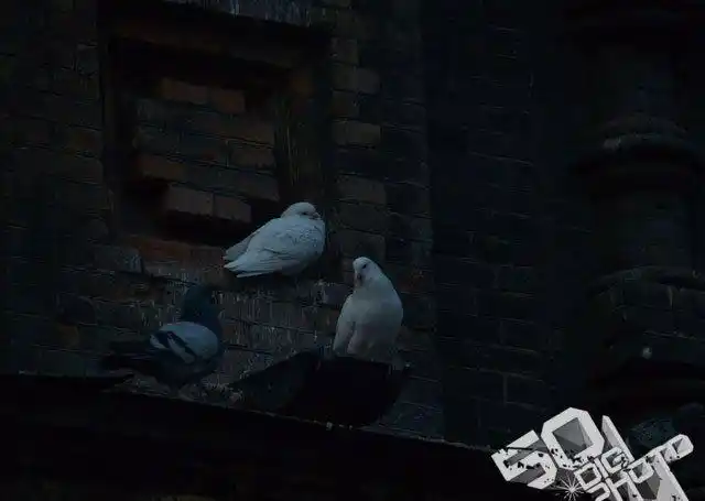 曝光不足,整体画面亮度过低.