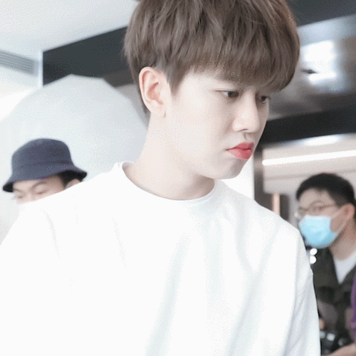 任嘉伦《乌鸦小姐与蜥蜴先生》待播,然而我最期待的却是另一部