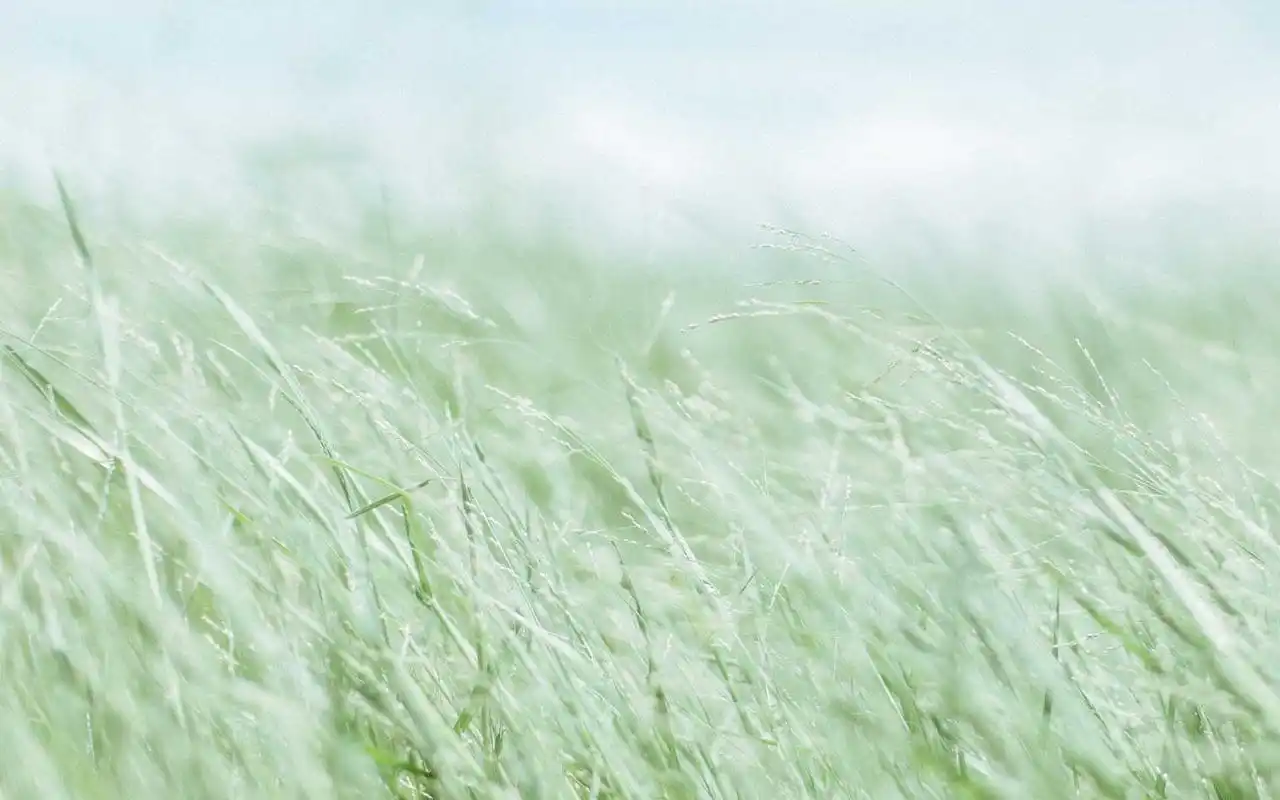 小清新绿色唯美风景高清图片桌面壁纸