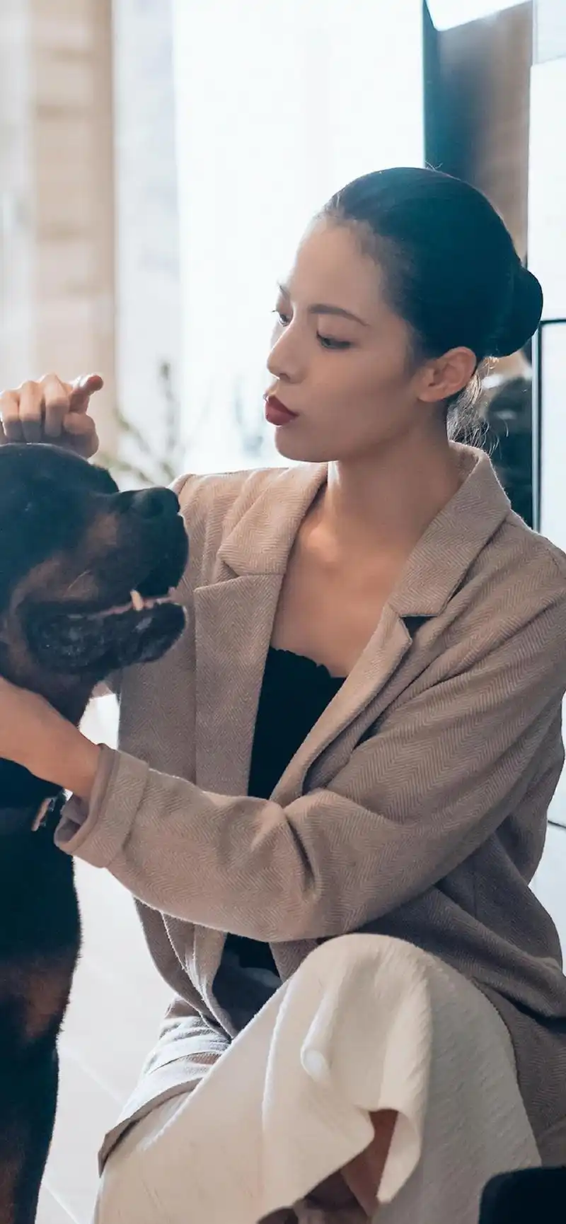 电影《宠爱》陈伟霆和钟楚曦的这个片段应该是看了电影后让人印象极为