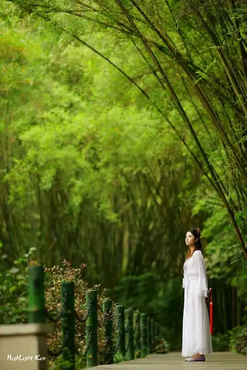 每周一妹子之------竹林古装----婷婷/小娅