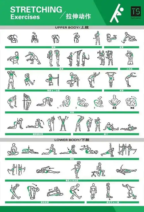 体能训练动作大合集