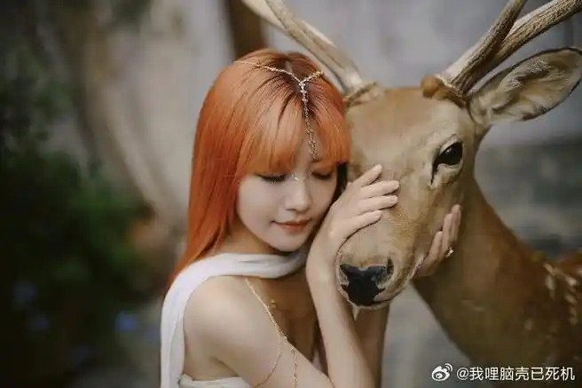 赖美云橘发额间链