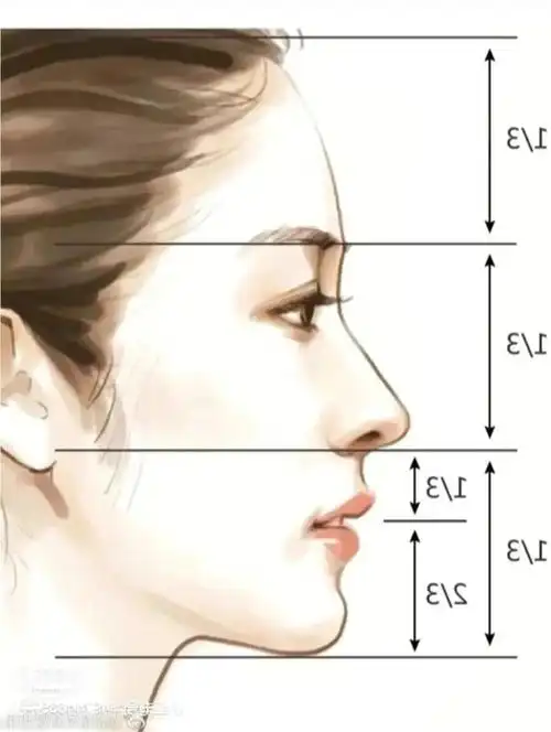 跟跟风吧打卡标准侧脸模板