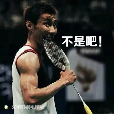 笑死了,林丹,李宗伟都想删的一些照片!